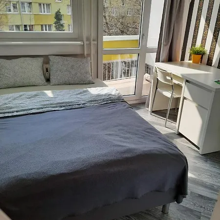 Niedzwiedzia *
