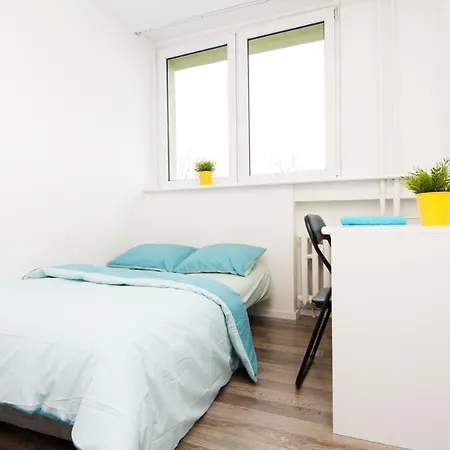 Blue River - Niedzwiedzia * Wrocław