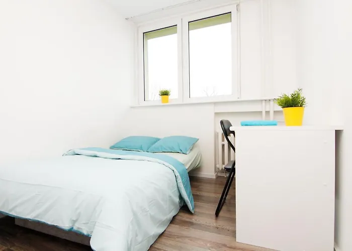 Blue River - Niedzwiedzia * Wrocław